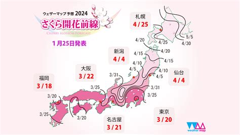 開花|さくら開花予想2024